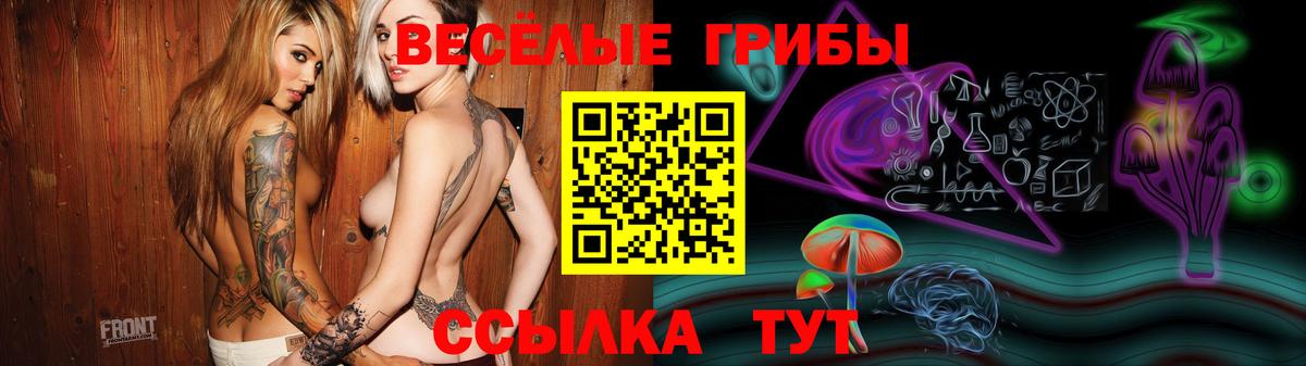 Галлюциногенные грибы ЛСД  Вход с VPN  Рузаевка 